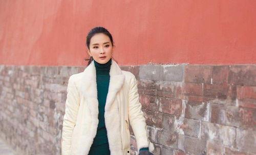 王艳老公的背景,揭秘豪门背后的商业帝国