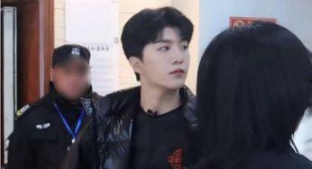 王子文个人资料身高体重,身高体重揭秘，魅力女神的身材秘密