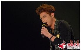 澳门明星,澳门明星风采掠影