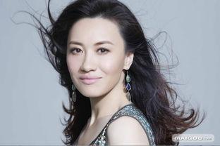 澳门明星,澳门明星风采掠影