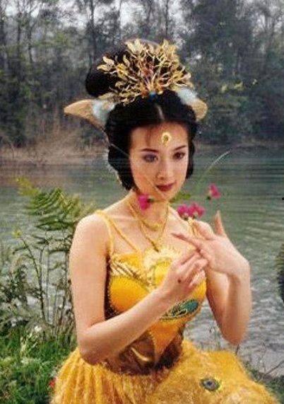 金巧巧老公什么背景,揭秘神秘背景与辉煌事业