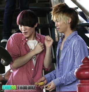 shinee现实背景文