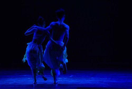 绿蛙舞蹈背景音乐,探寻自然与音乐的和谐共鸣