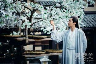 扶摇背景音乐琵琶,古韵悠扬传千古