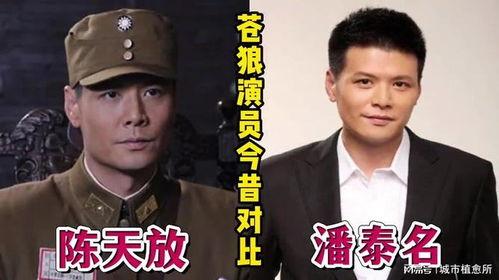 苍狼演员表女演员列表,揭秘剧中魅力四射的女演员群像